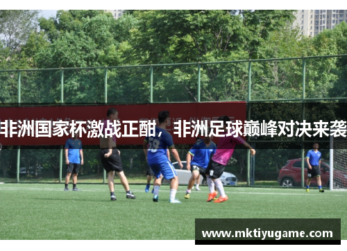 非洲国家杯激战正酣，非洲足球巅峰对决来袭